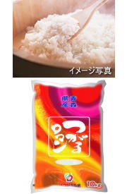 XYā@郍} PO